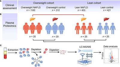 Clinical characterization and proteomic profiling of lean nonalcoholic fatty liver disease